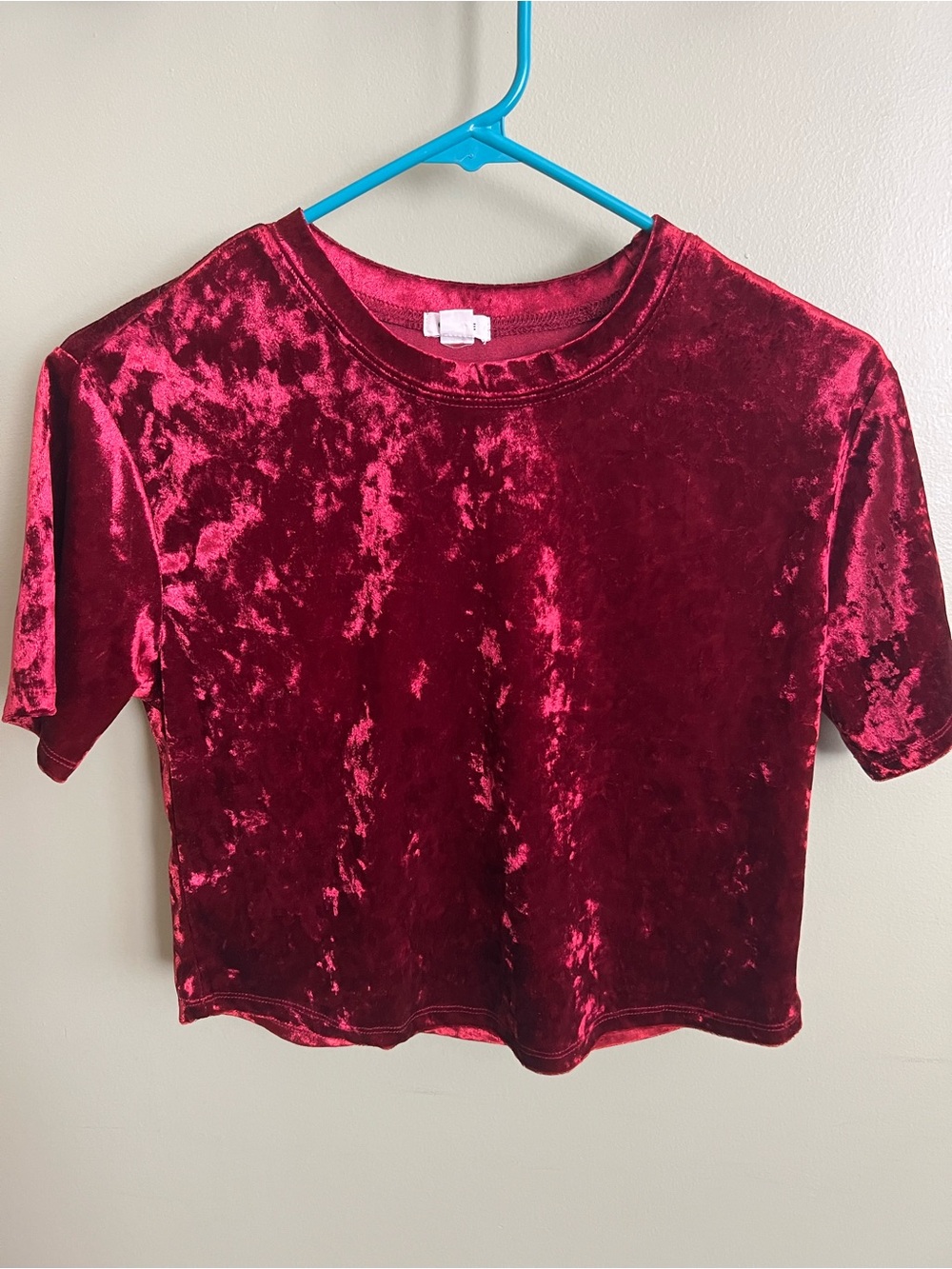 Garage Crushed Velvet Crop Top - Burgundy Red